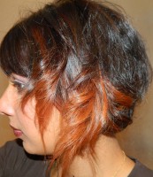 /album/galerie-photos/photos-elodie-coiffure-011-jpg2/